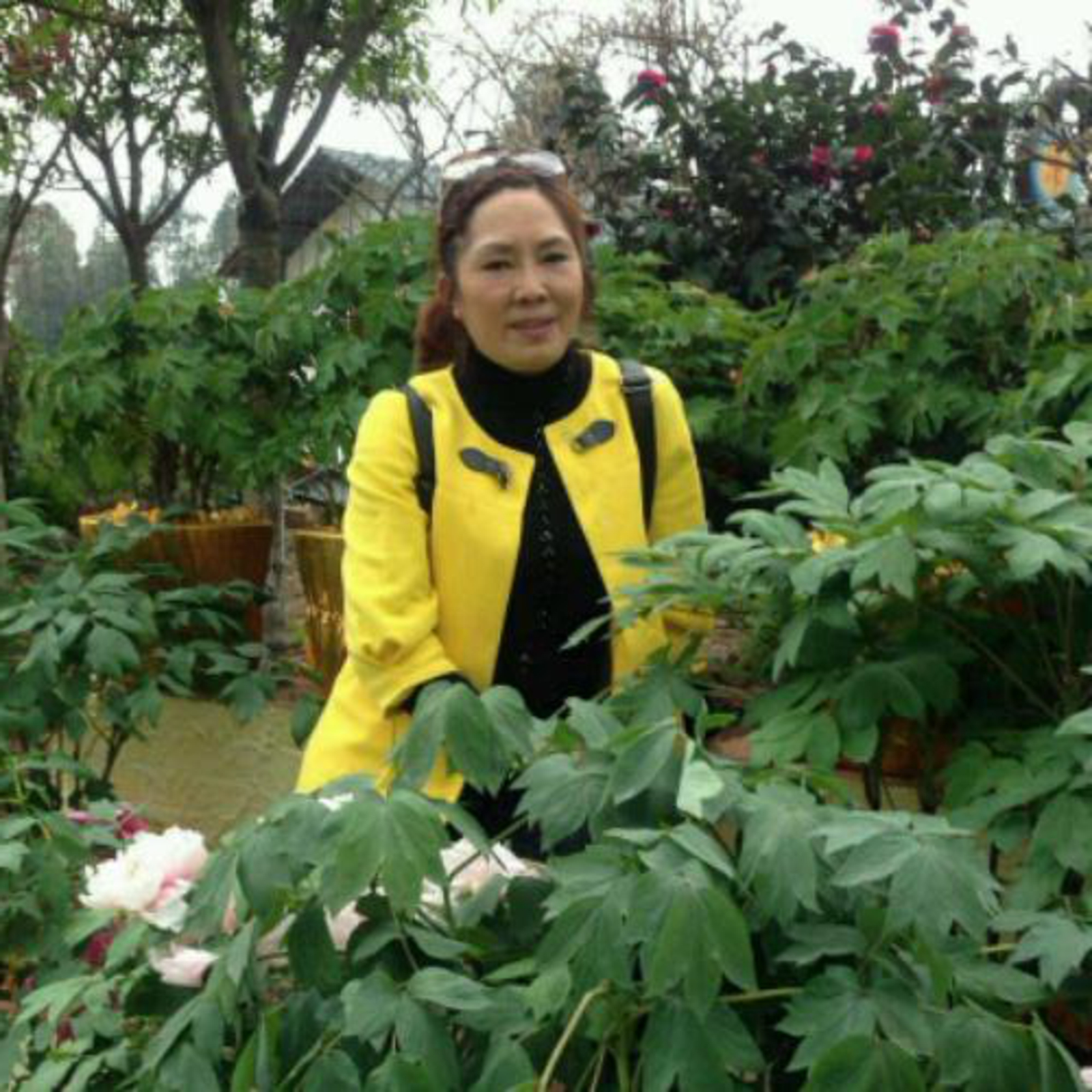55岁离异女征婚照片(id:89497993)_四川眉山征婚交友
