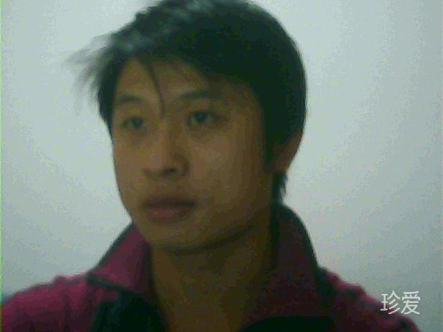 萧萧细雨洒梧桐