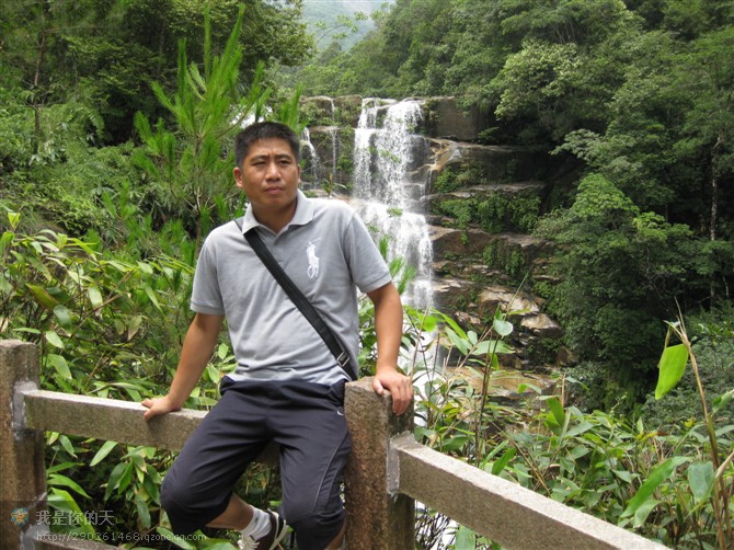 zhang 