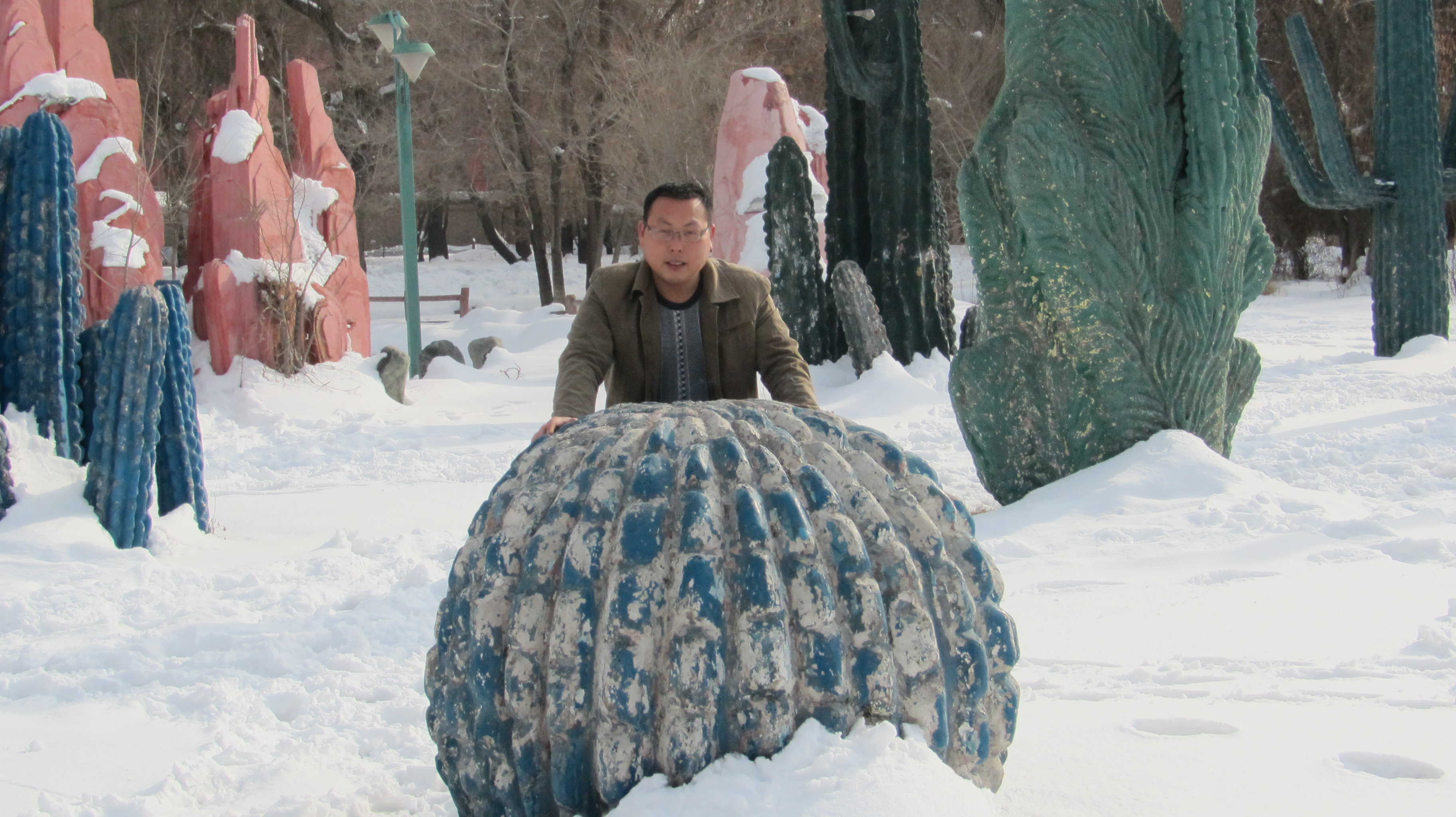 马路上有熊出没