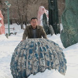 马路上有熊出没