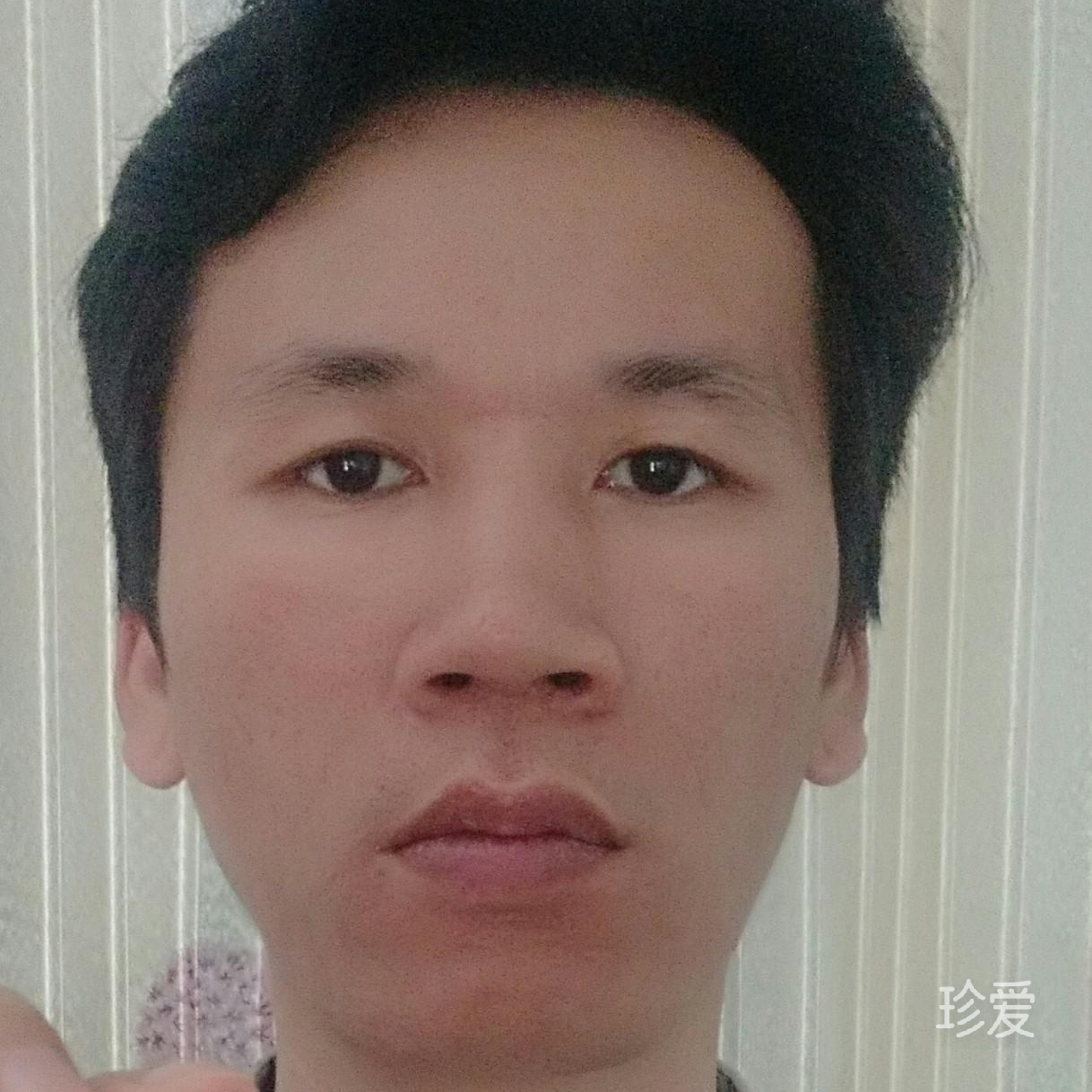 我的愛情在哪里