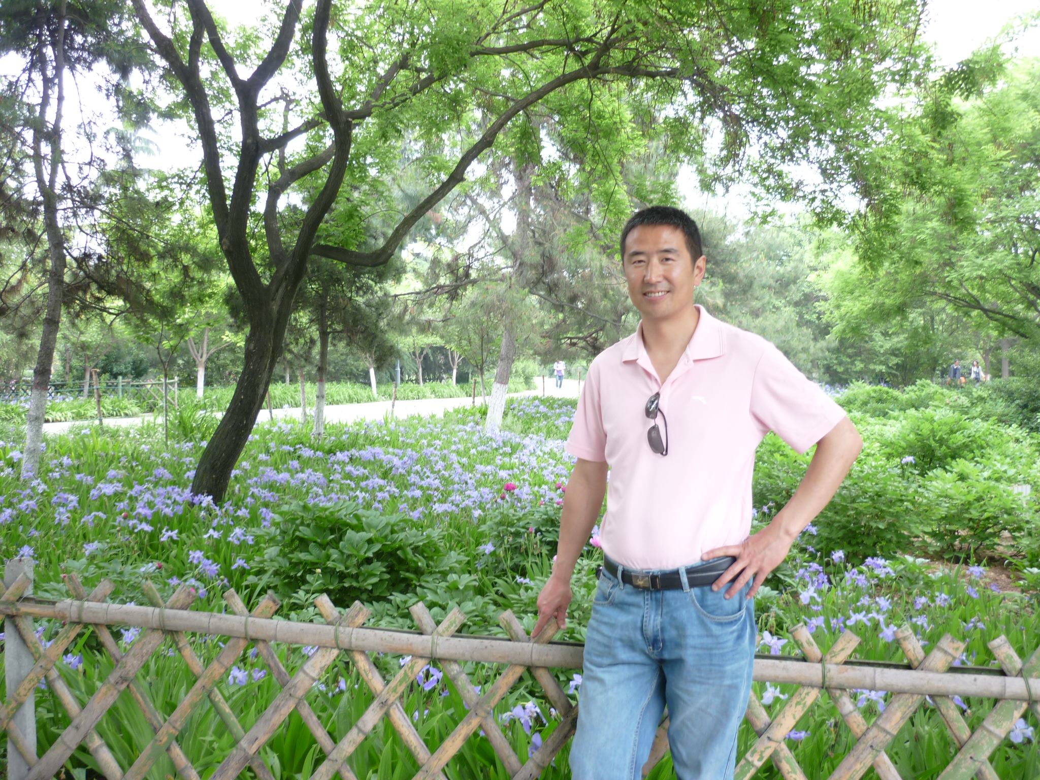 吹过摩天轮的风