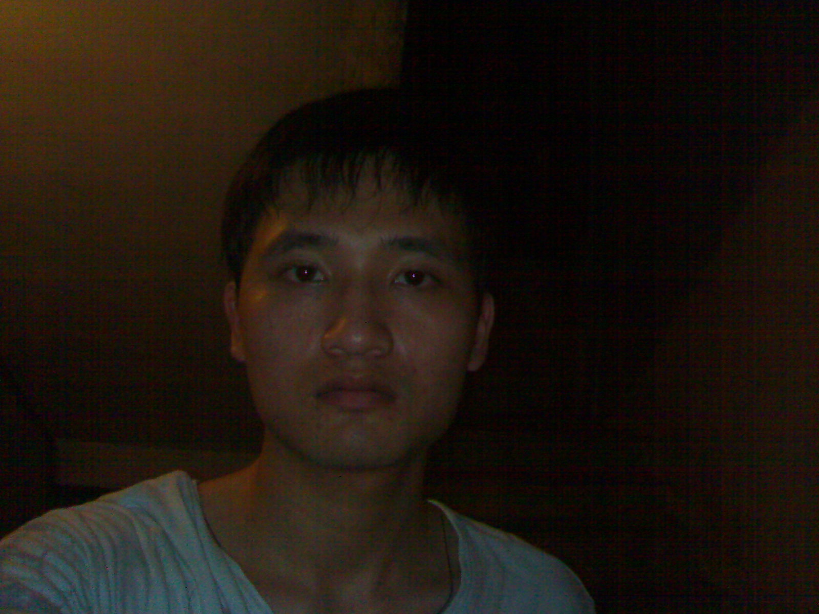 风中的蒲公英