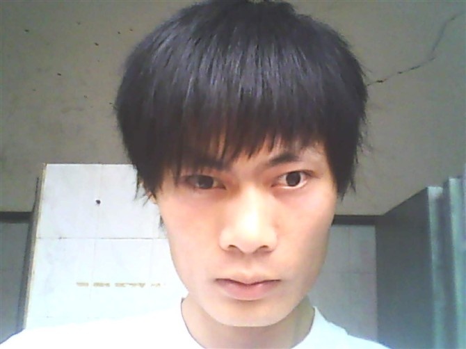 一棵树