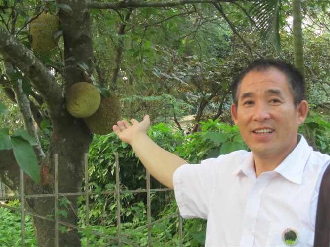 一匹来自北方的狼