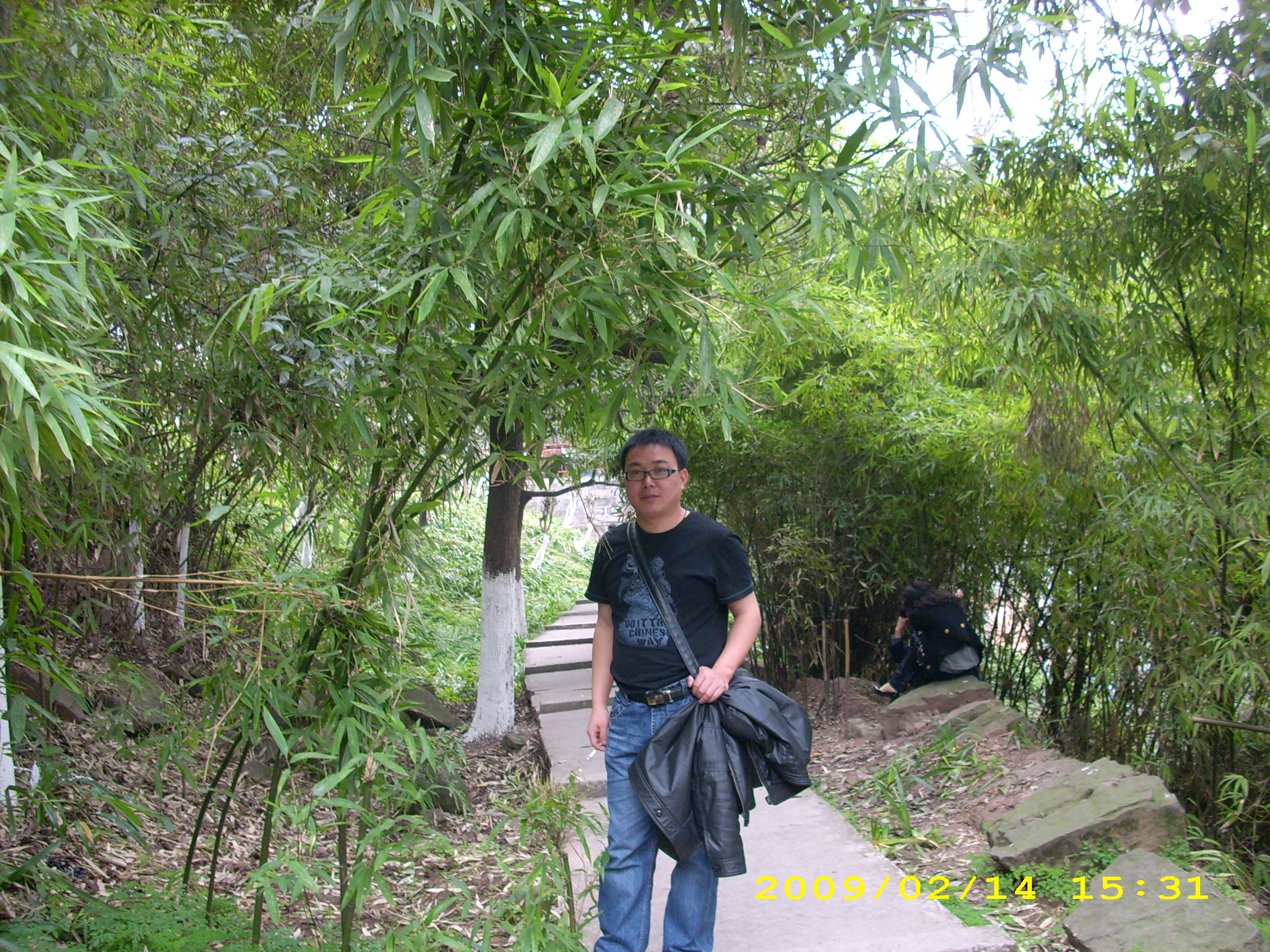 大風(fēng)堡的狼