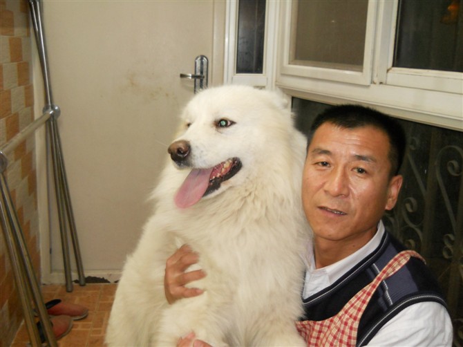 单身情歌