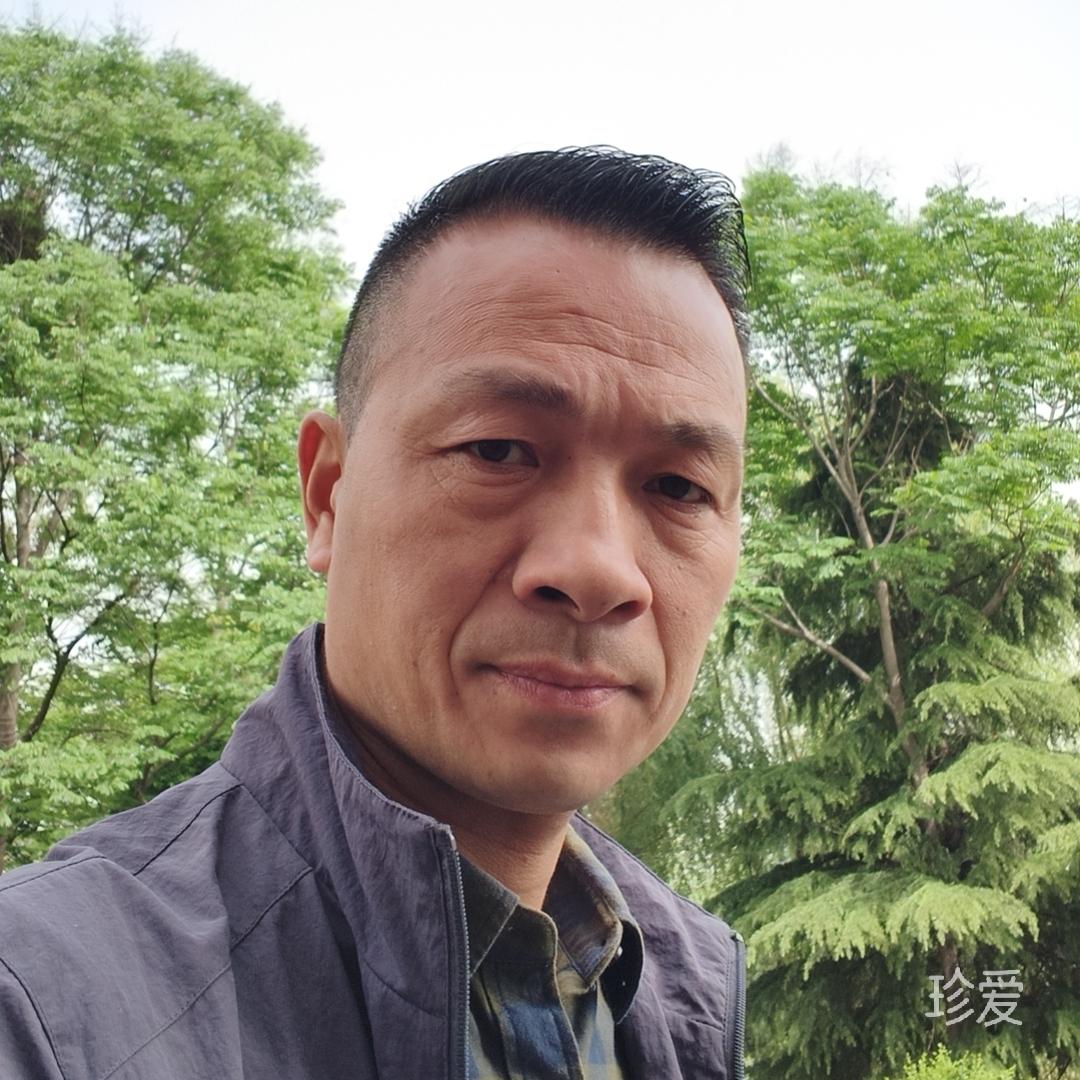 小白杨