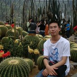 不會(huì)談戀愛的人