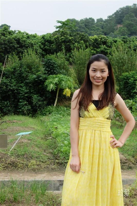 芳芳郁金香