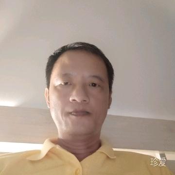 毛毛虫