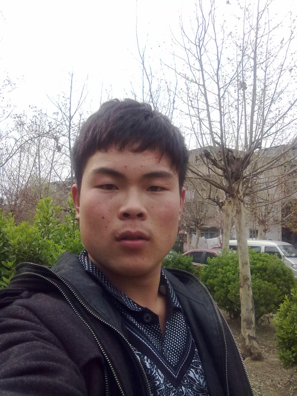 騎著鳳凰去流浪