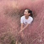 悠悠我心