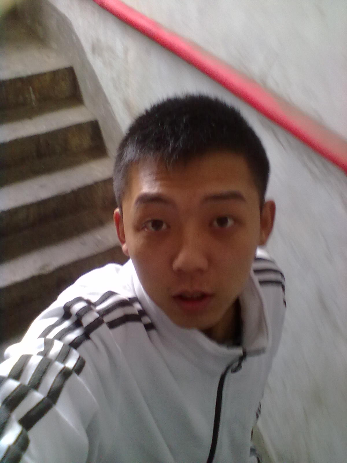 赵小狼
