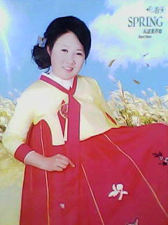 一帘幽梦