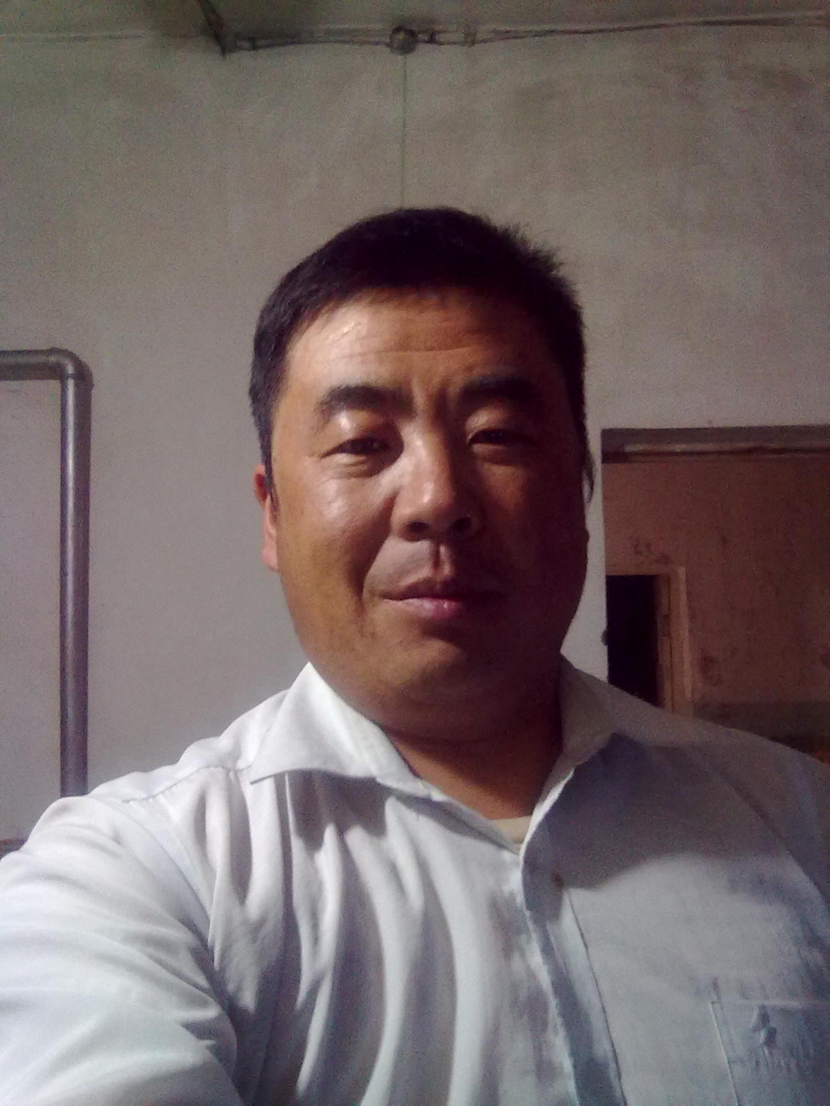 蓝鸟·