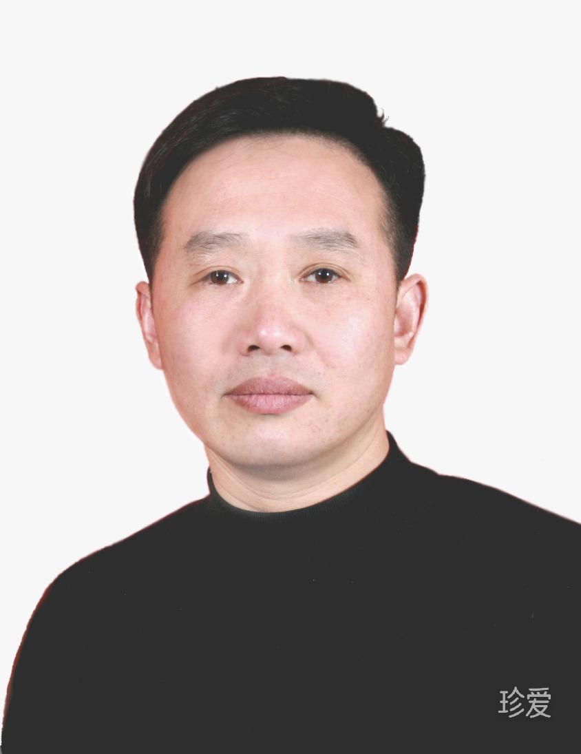 如歌岁月