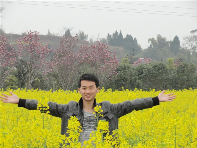 枫叶