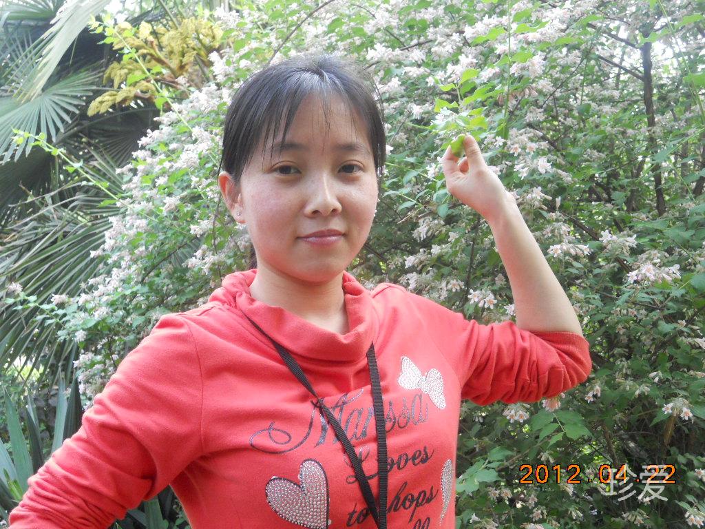 梦里飞花