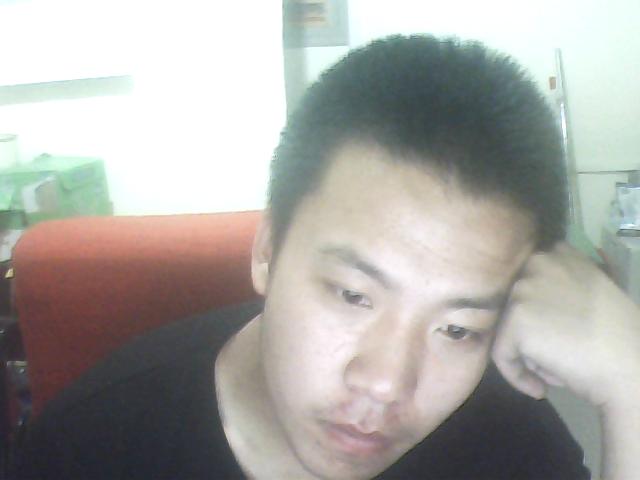 巴黎街頭的向日葵