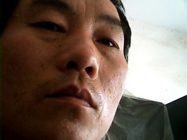 闲云野鹤