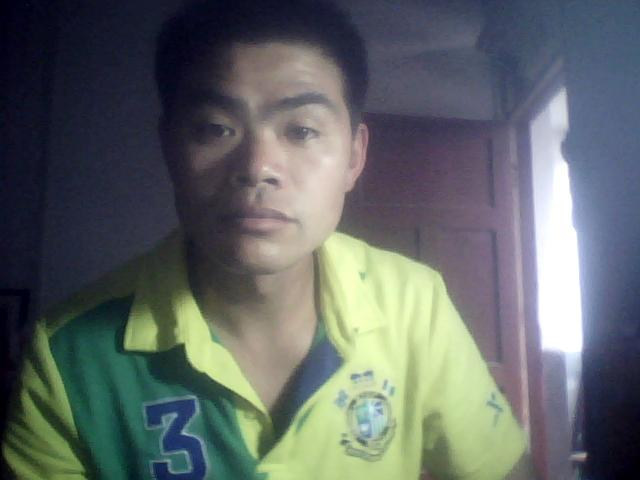 我的爱情在流浪