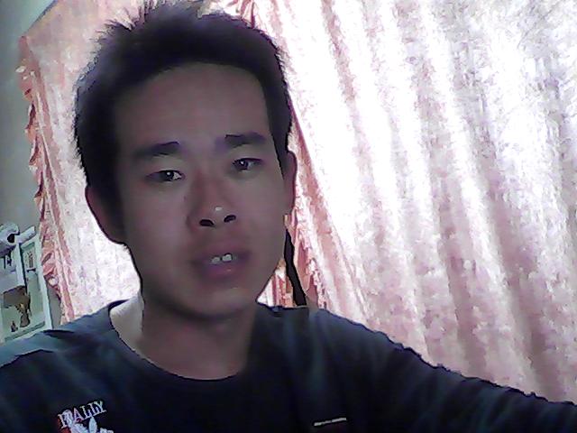 真情