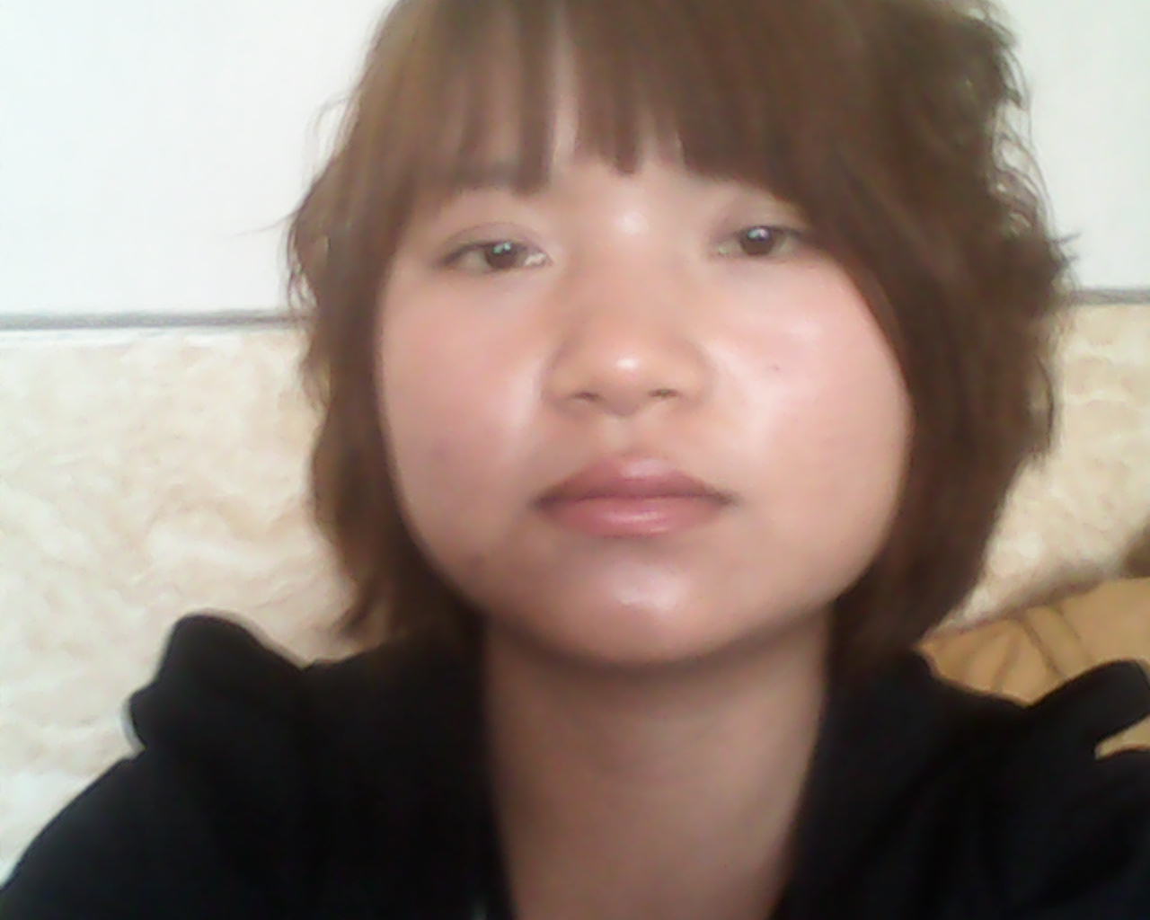 鸽子