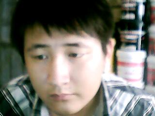 孤独的风中一匹狼