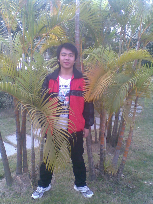 一千零一个愿望