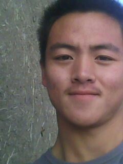 一天到晚游泳的鱼