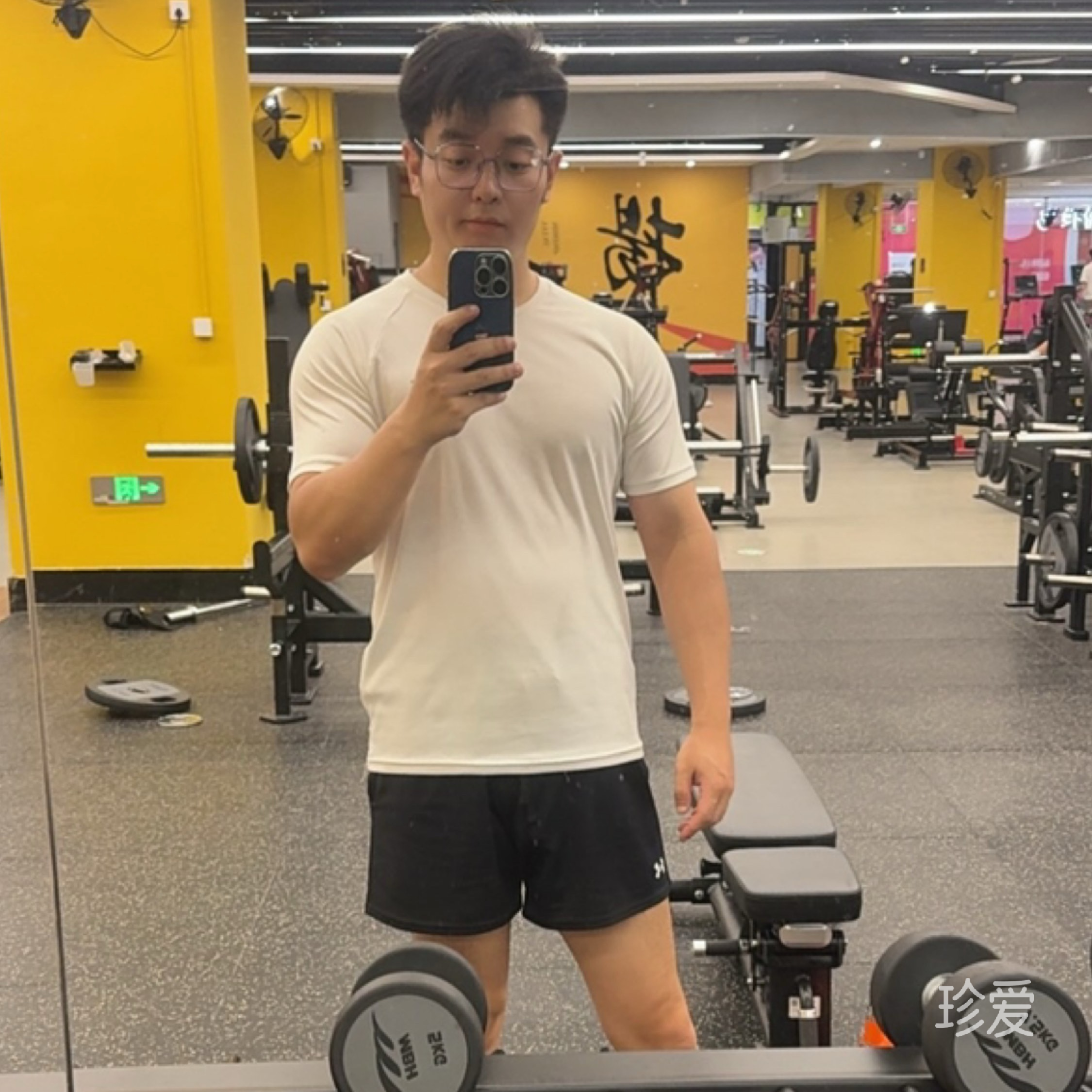 纸鸢