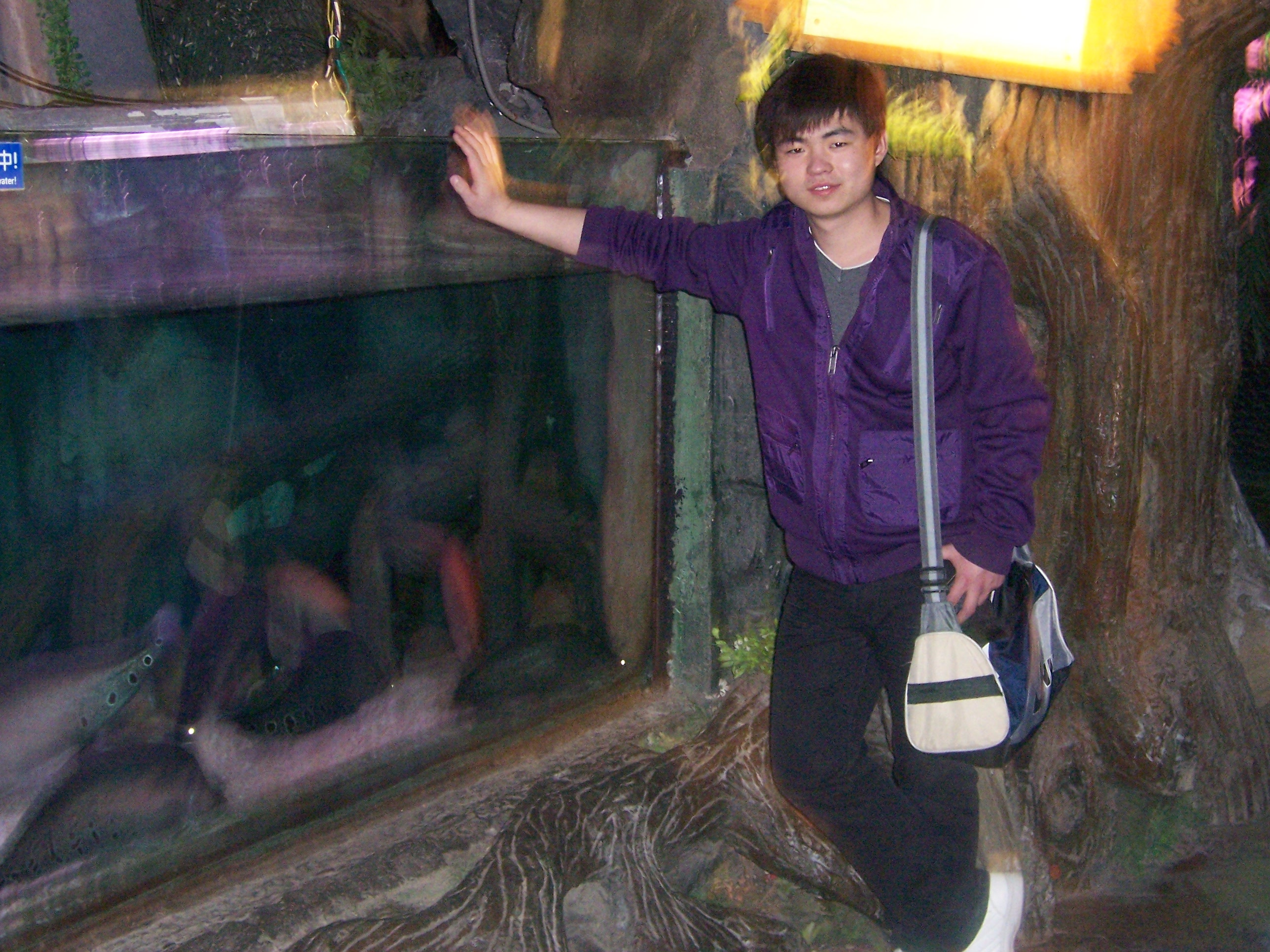 尋找真誠的愛情