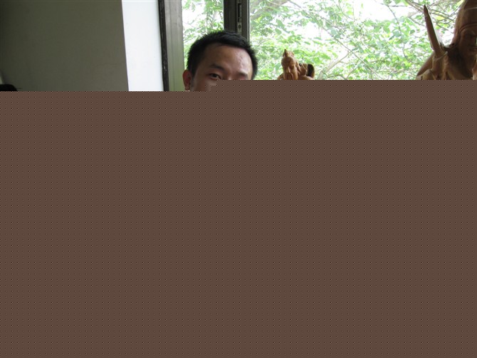 Mrzhang
