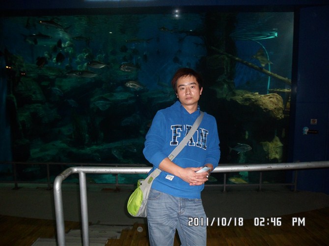 丢了幸福的，猪