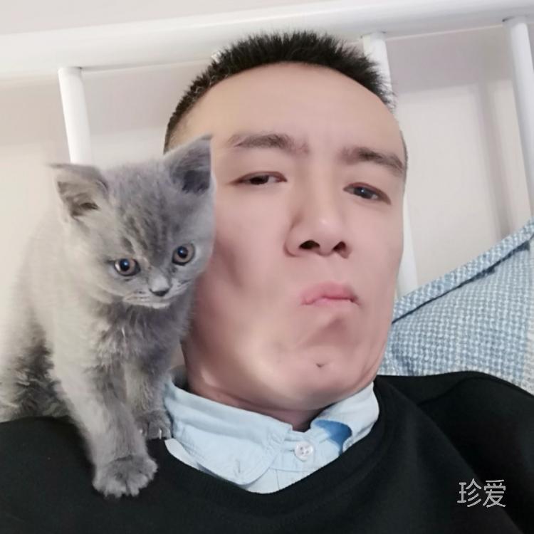 番茄爱上胡萝卜