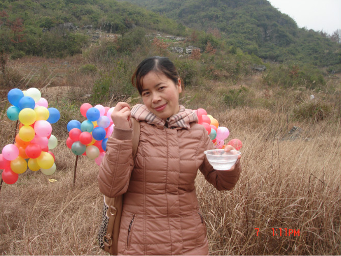 柳叶飞扬
