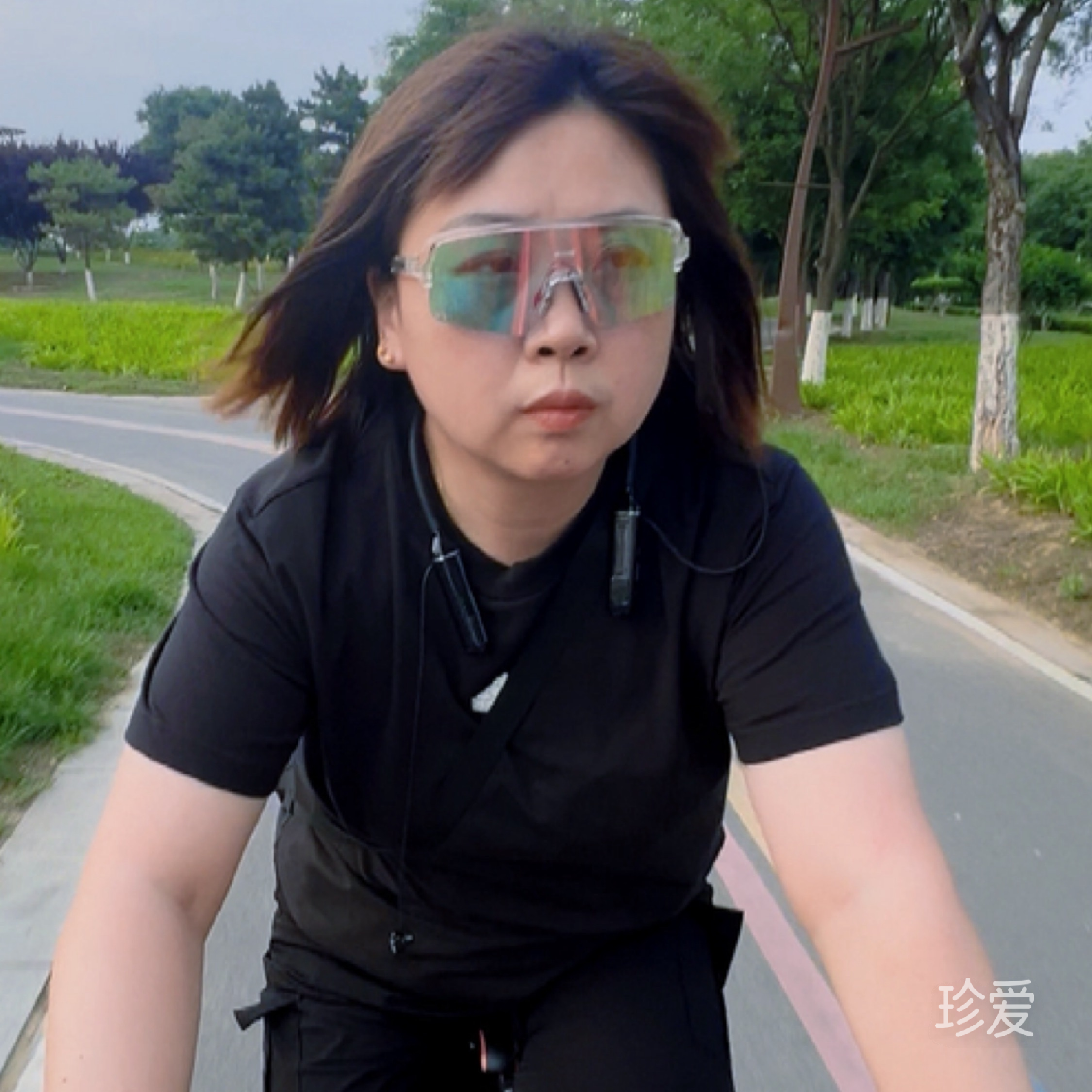 MD张张