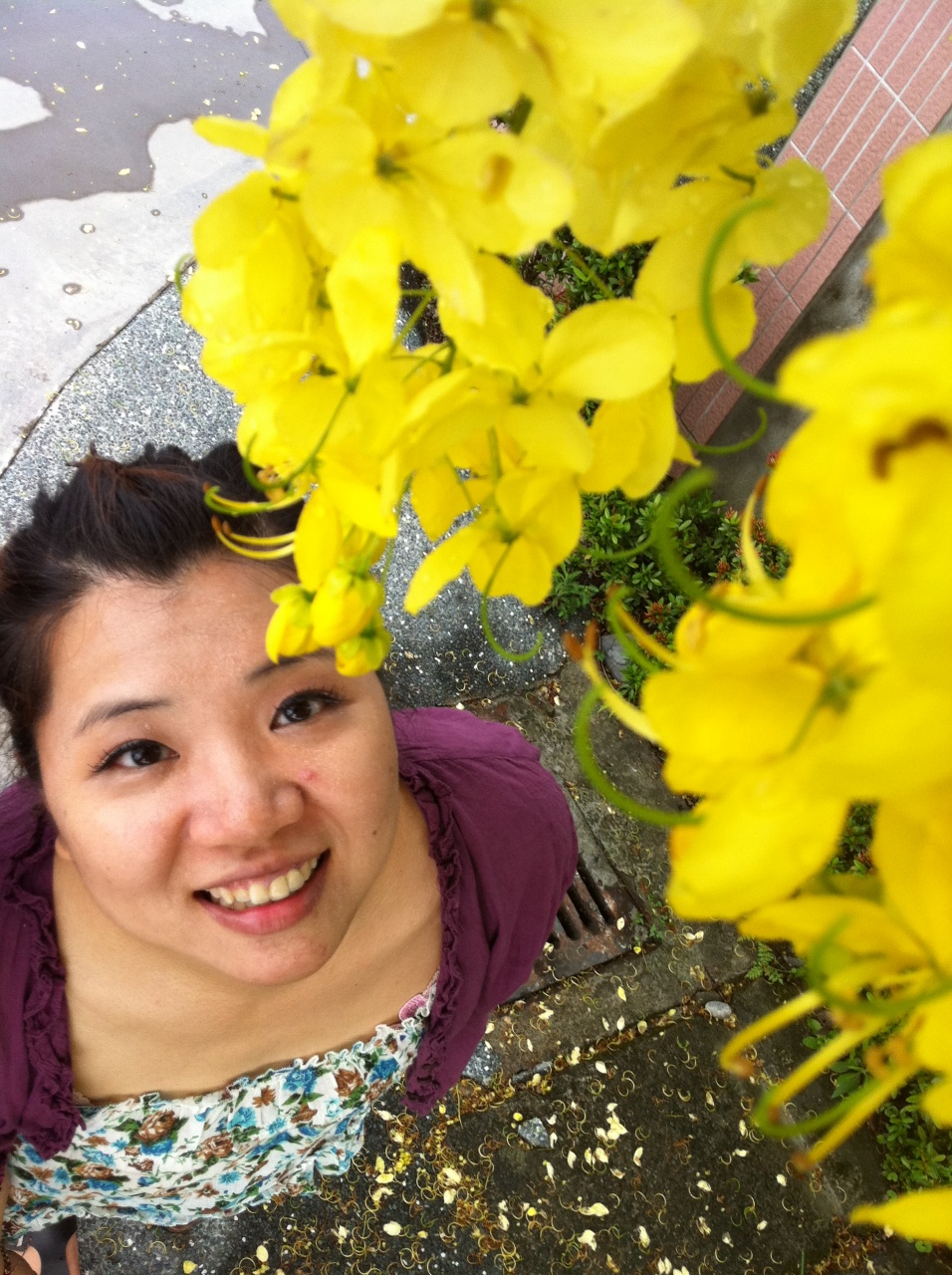 會(huì)員47724973