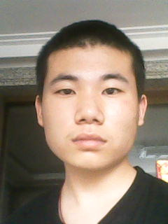 梧桐树下的落叶