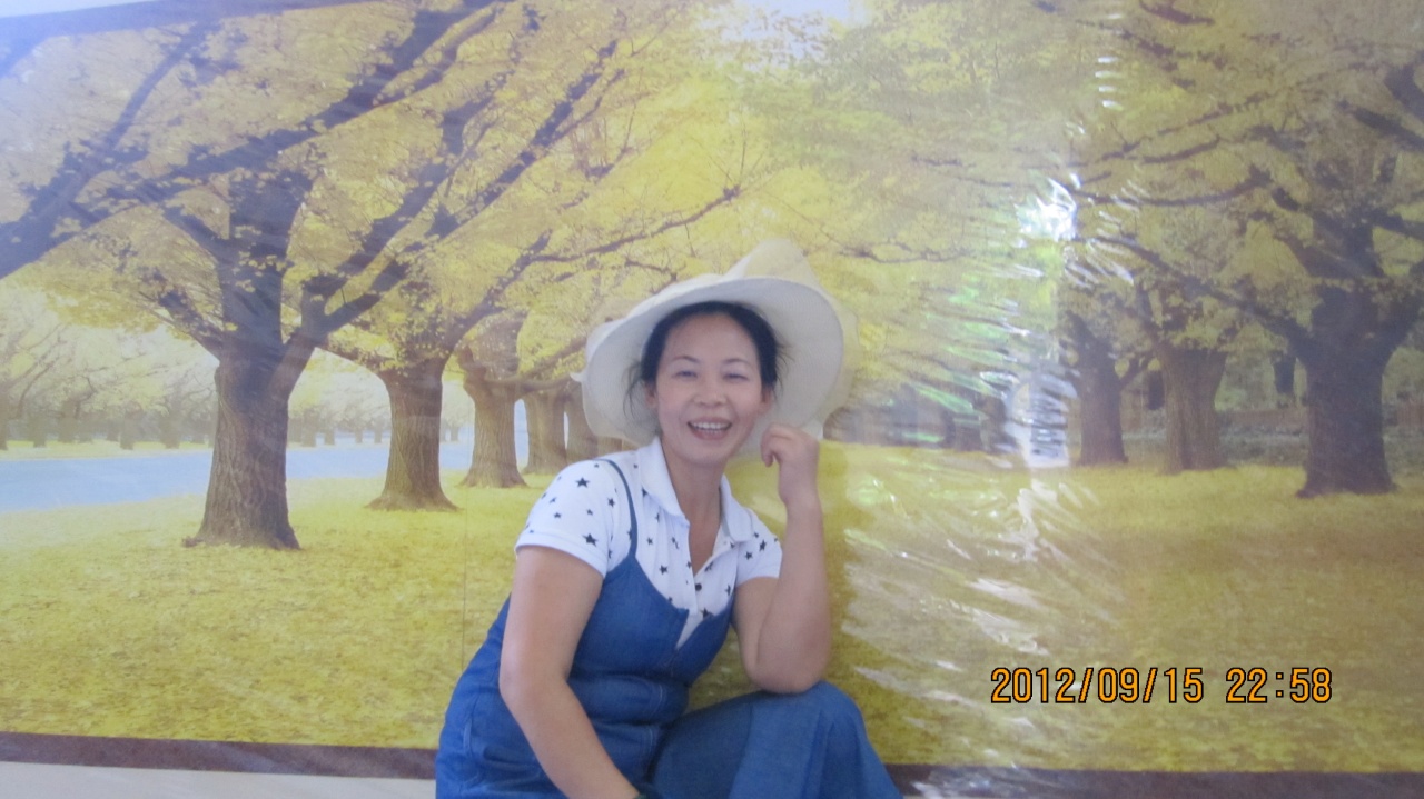兰花草