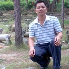 中中