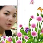 會(huì)員48513674