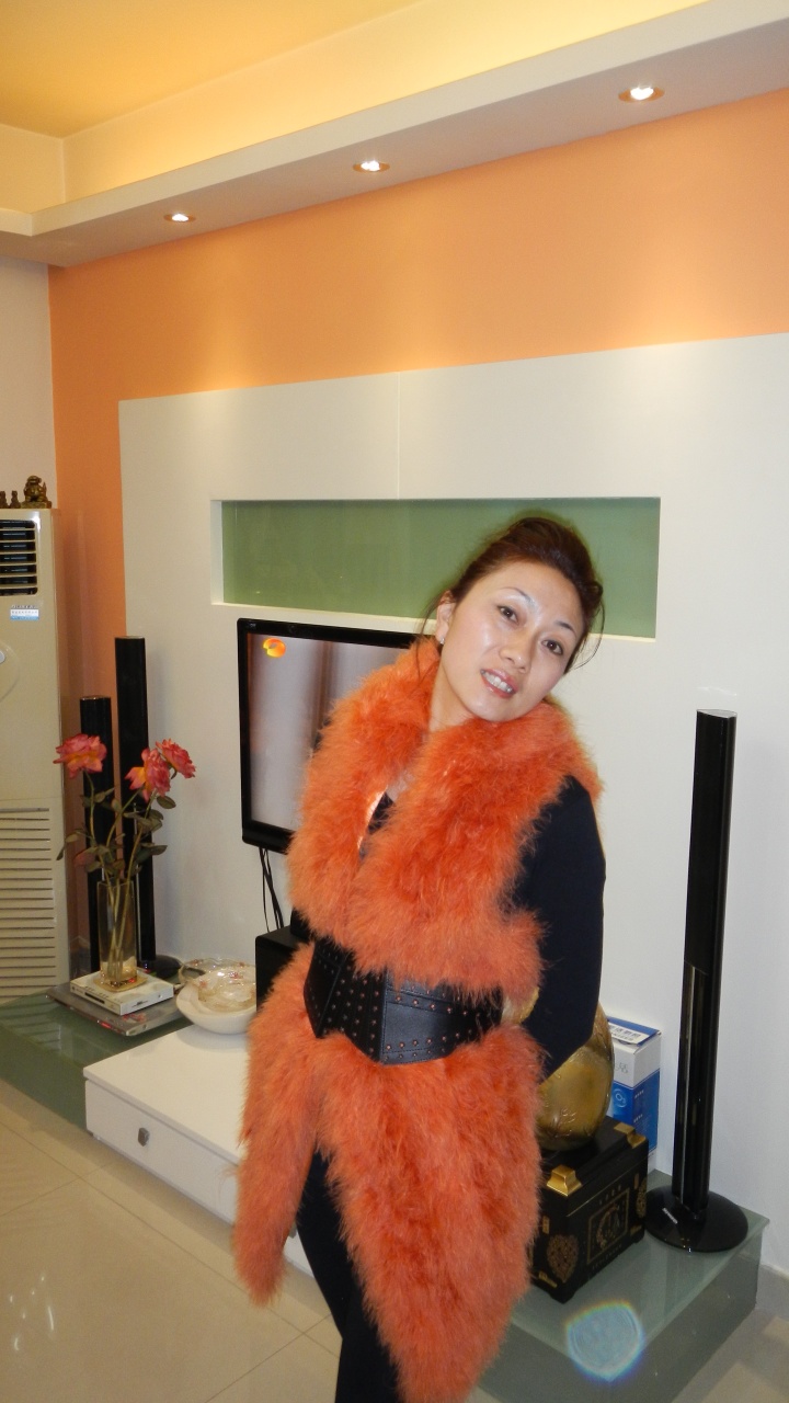 會(huì)員49022813