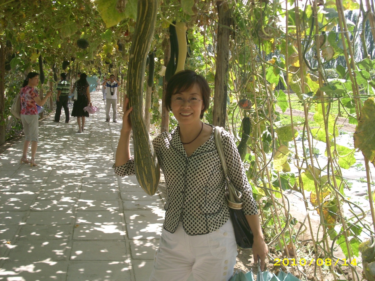 會(huì)員49685481