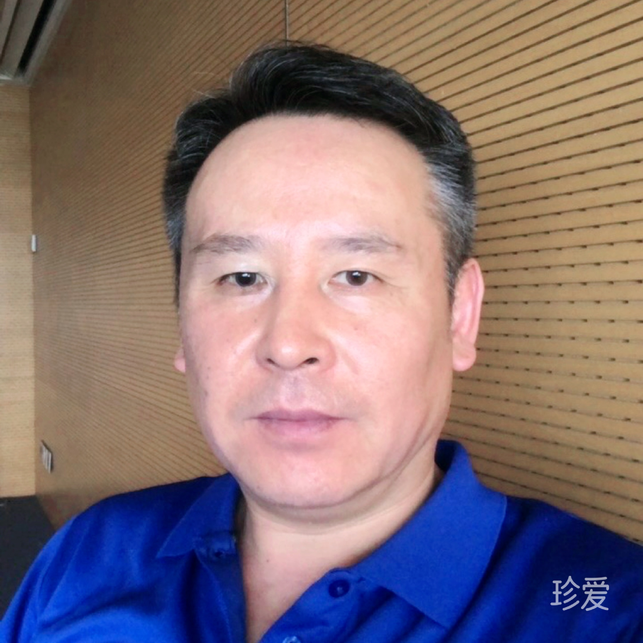 格子条纹6