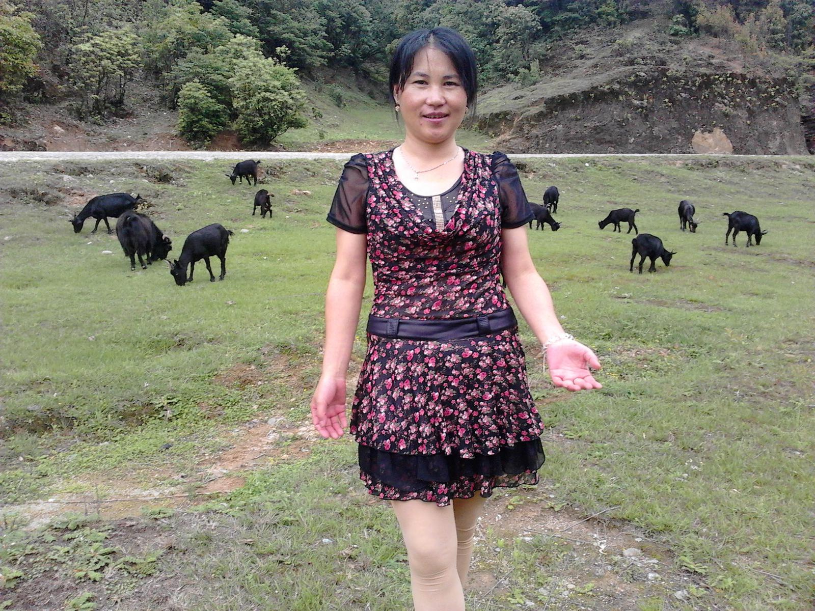 會員傷口能愈合嗎