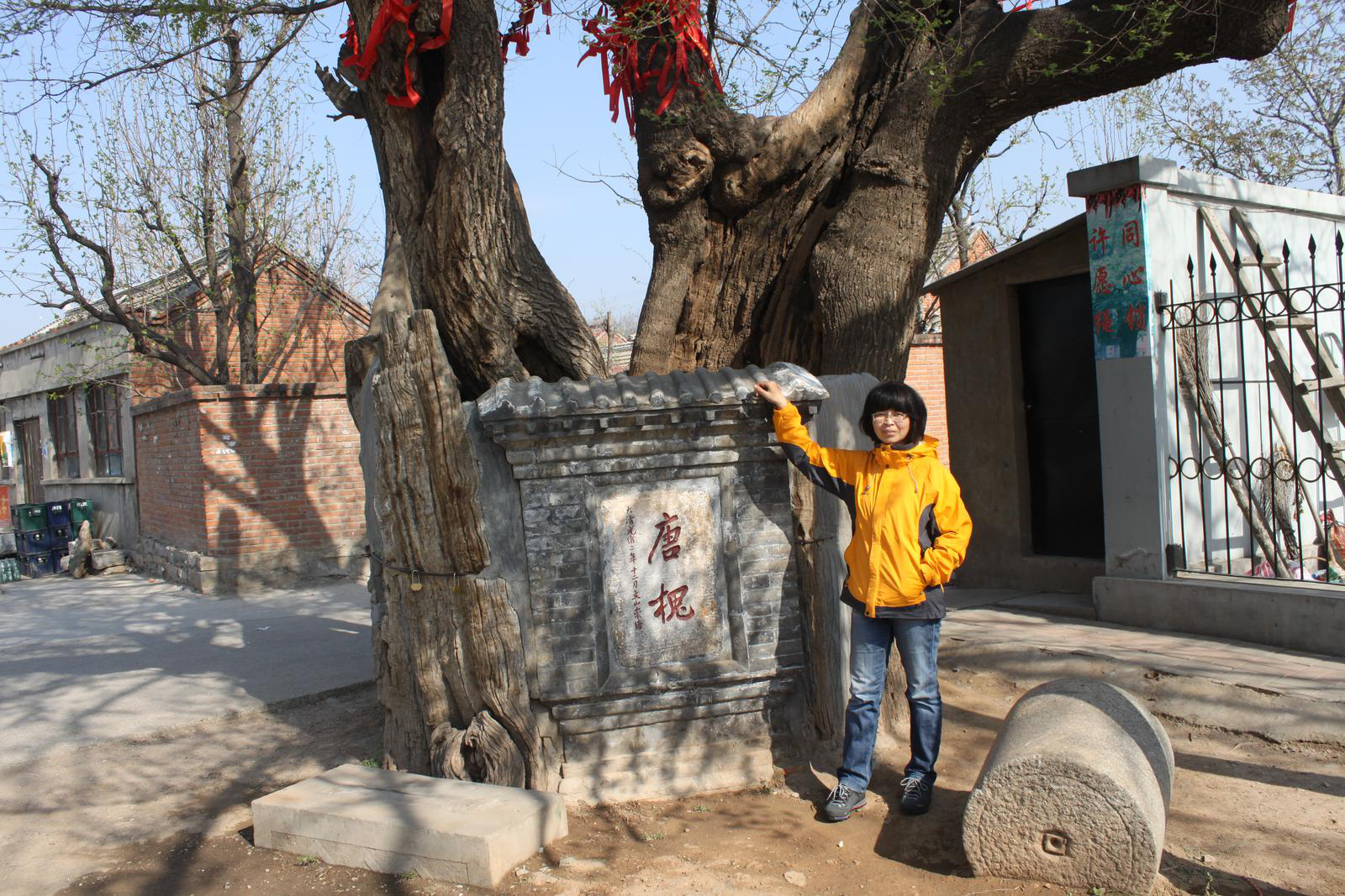 會(huì)員49953195