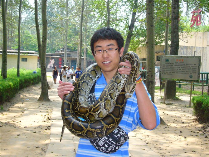 会员49974154